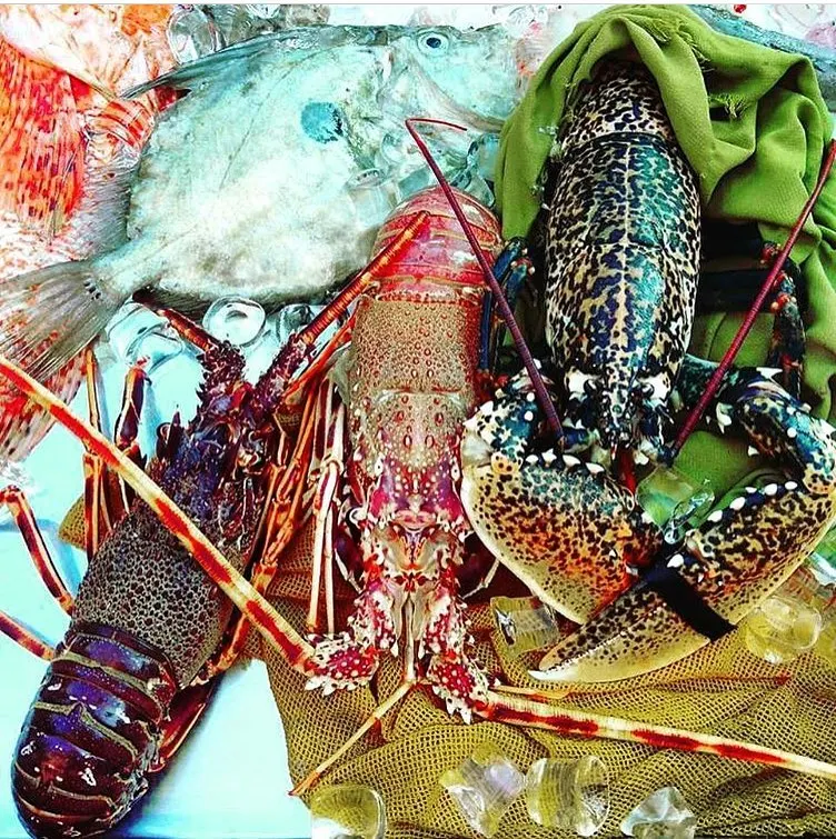 Јастог и плодови мора у леденој витрини